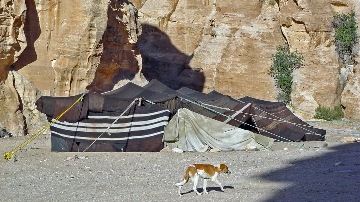 Desert Hospitality: Between Custom and Work
